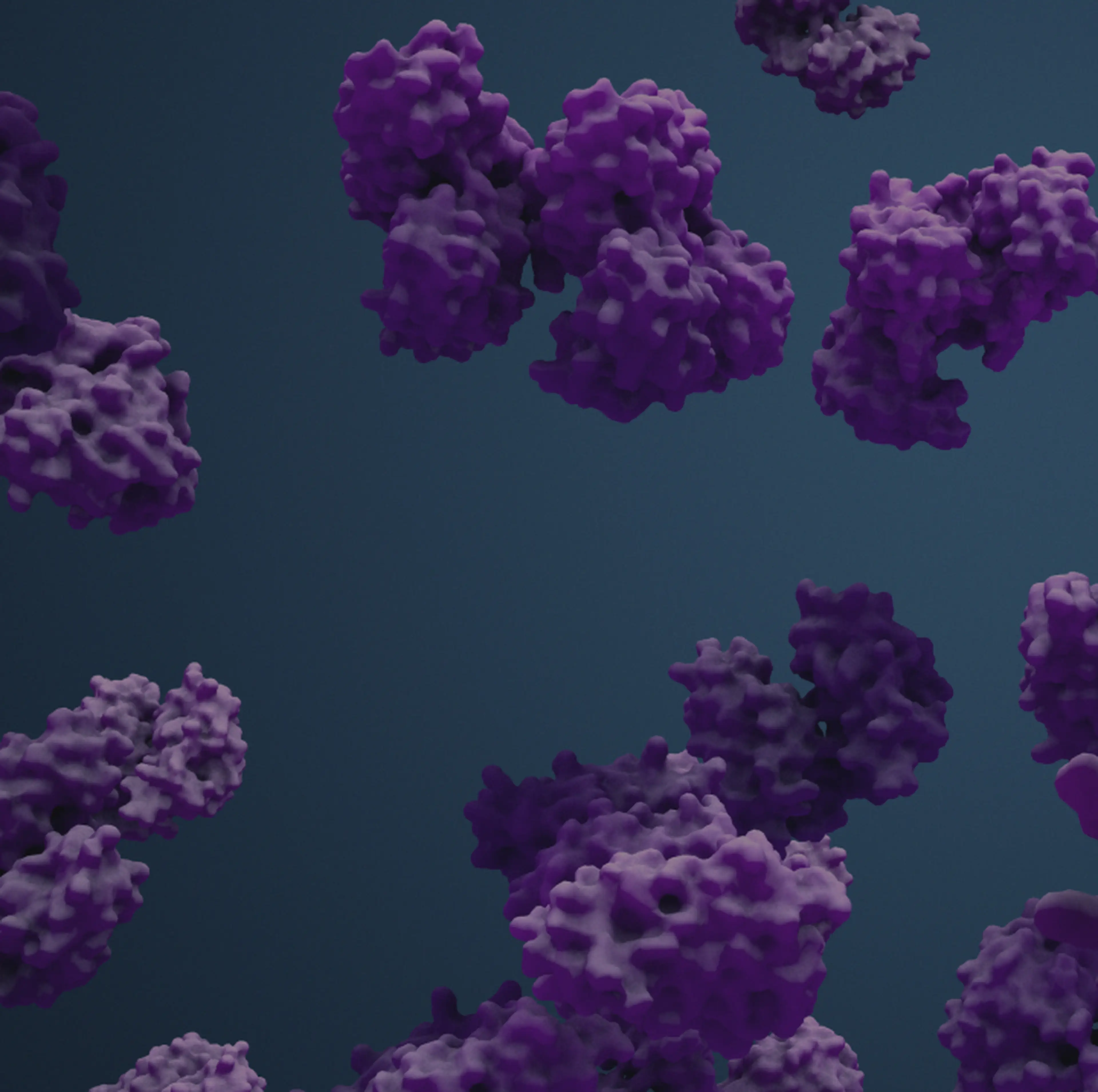 The Native Antigen Company Image